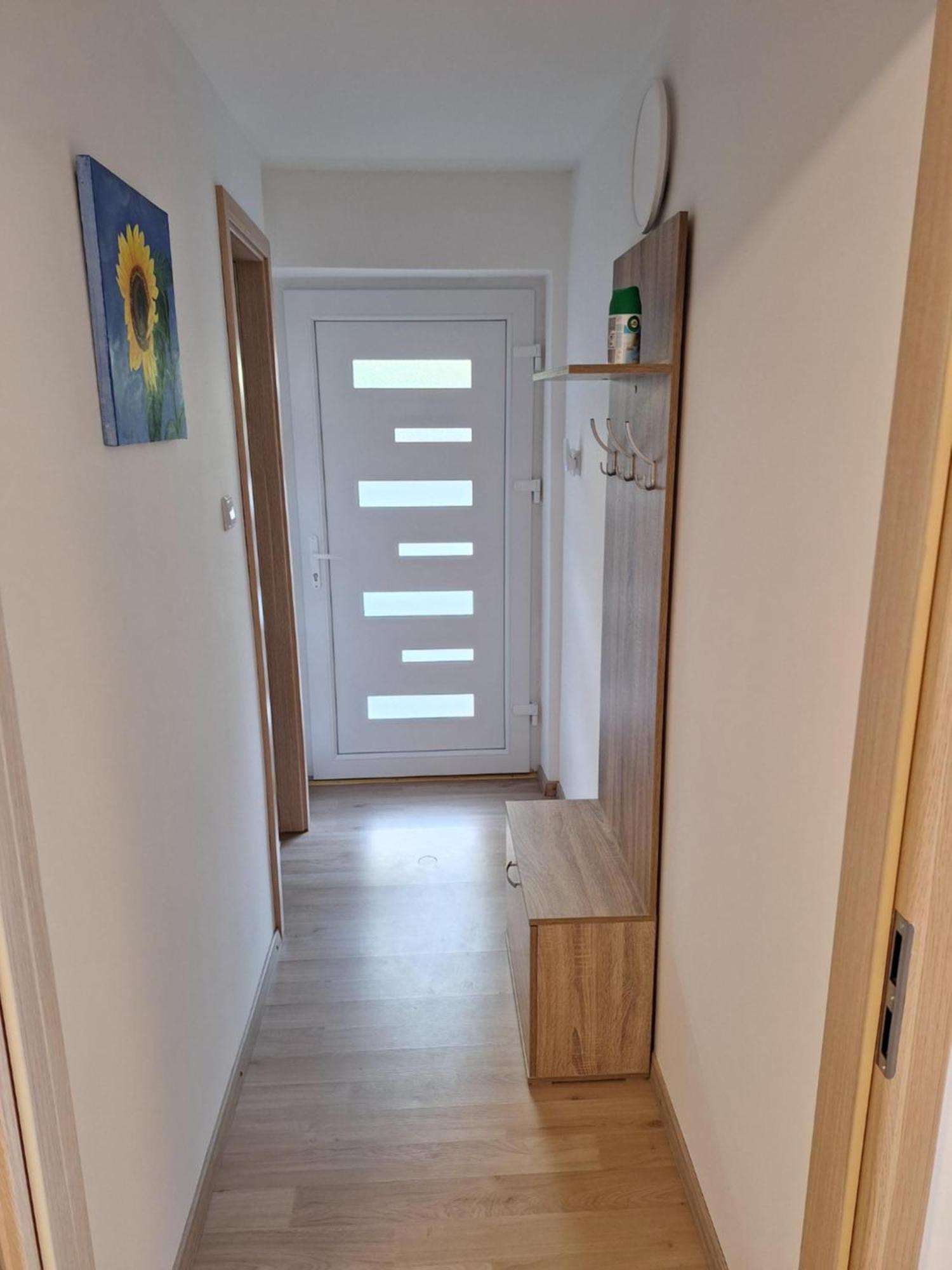 Apartment Belka Jesenice Exterior foto